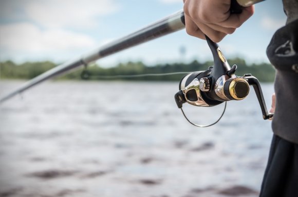 Activité pêche Louhans 